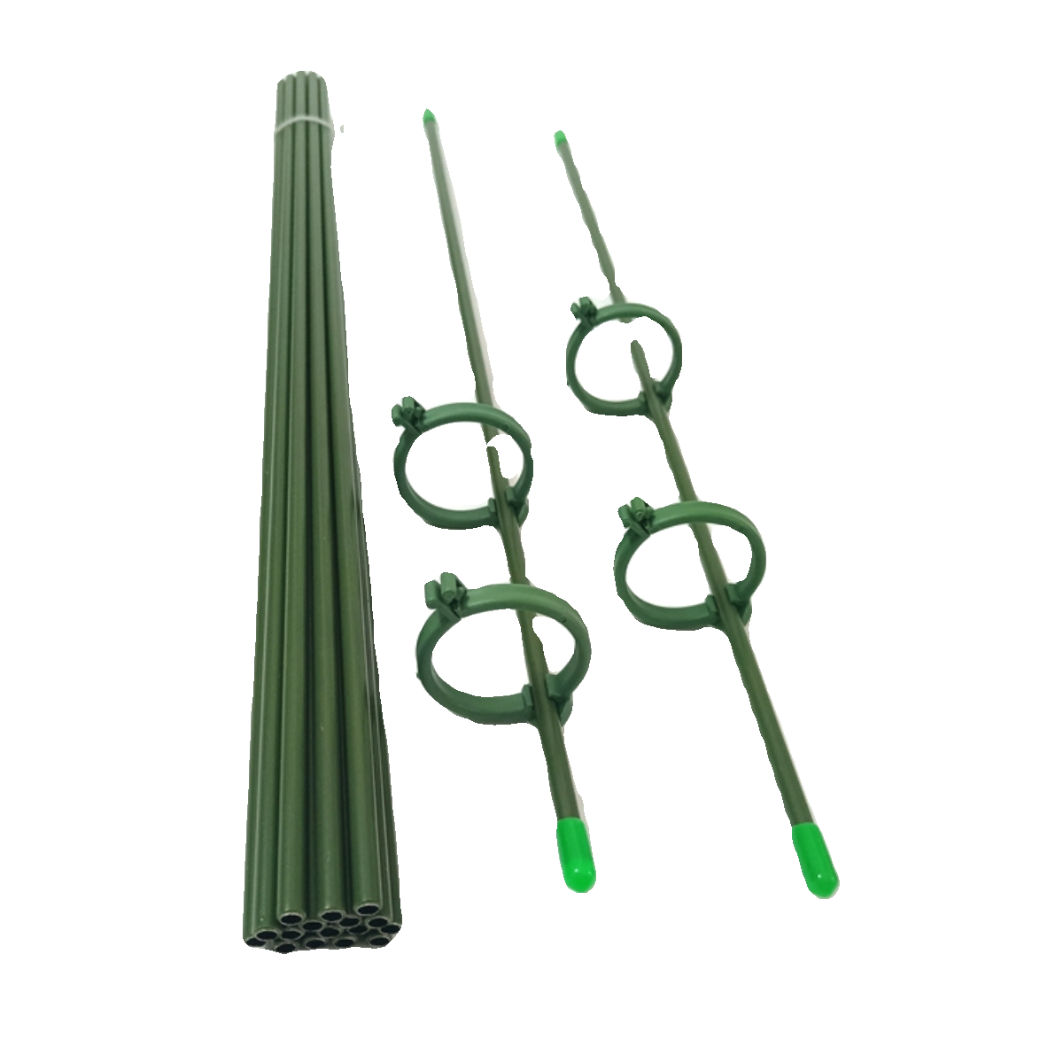 园艺种花盆栽植物支撑杆兰花天堂鸟金钱树支架爬藤架固定卡扣立柱 - 图3