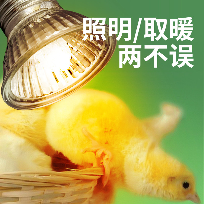 芦丁鸡保温灯乌龟晒背小鸡育雏取暖加热小太阳灯泡晒龟灯,淘宝优惠券,粉丝福利购,淘宝优惠卷