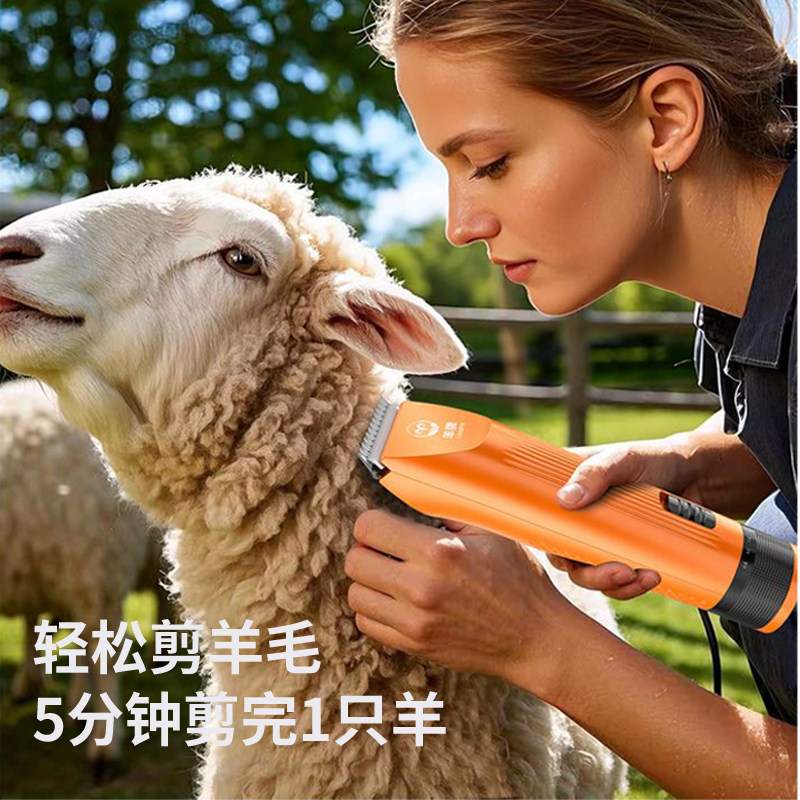 羊牌220V羊毛剪专业级电动手持式大功率剪毛快理毛器绵羊山羊剪毛,淘宝优惠券,粉丝福利购,淘宝优惠卷