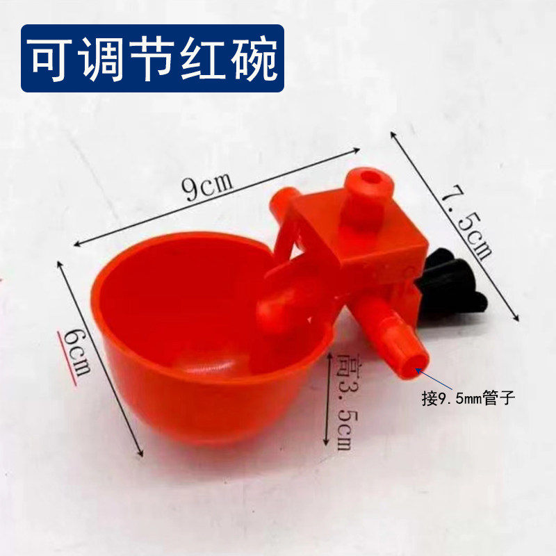 鸽子饮水碗全自动喝水器鹌鹑鸡鸭鹅鸟肉鸽养殖喝水碗家禽喂水器,淘宝优惠券,粉丝福利购,淘宝优惠卷