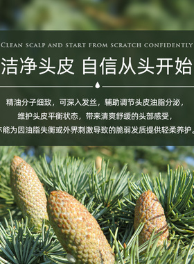单方精油大西洋雪松美国