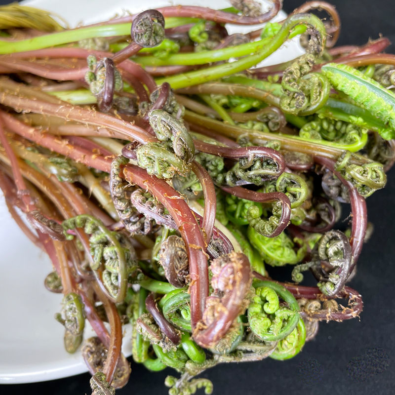 东北野生猴腿菜蕨菜纯野生山野菜现采现发坏了包赔产地发货 - 图2