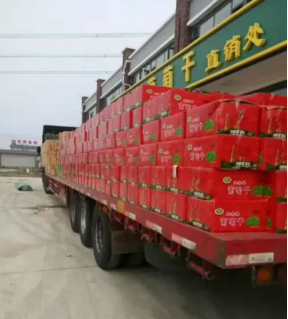 新疆免洗无核特级新货自然色葡萄干 西襄记葡萄干