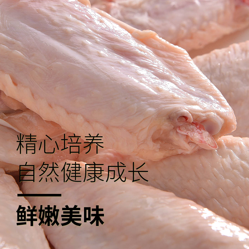 sh生鲜旗舰店圣华 鸡翅中2斤冷冻生鲜鸡翅生母鸡肉新鲜烤翅烧烤奥尔良炸鸡翅膀1