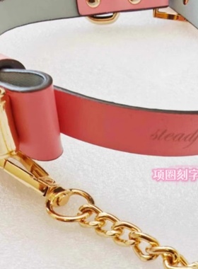 牛皮项圈颈环choker牵引绳合金蝴蝶结女颈带脖圈定制
