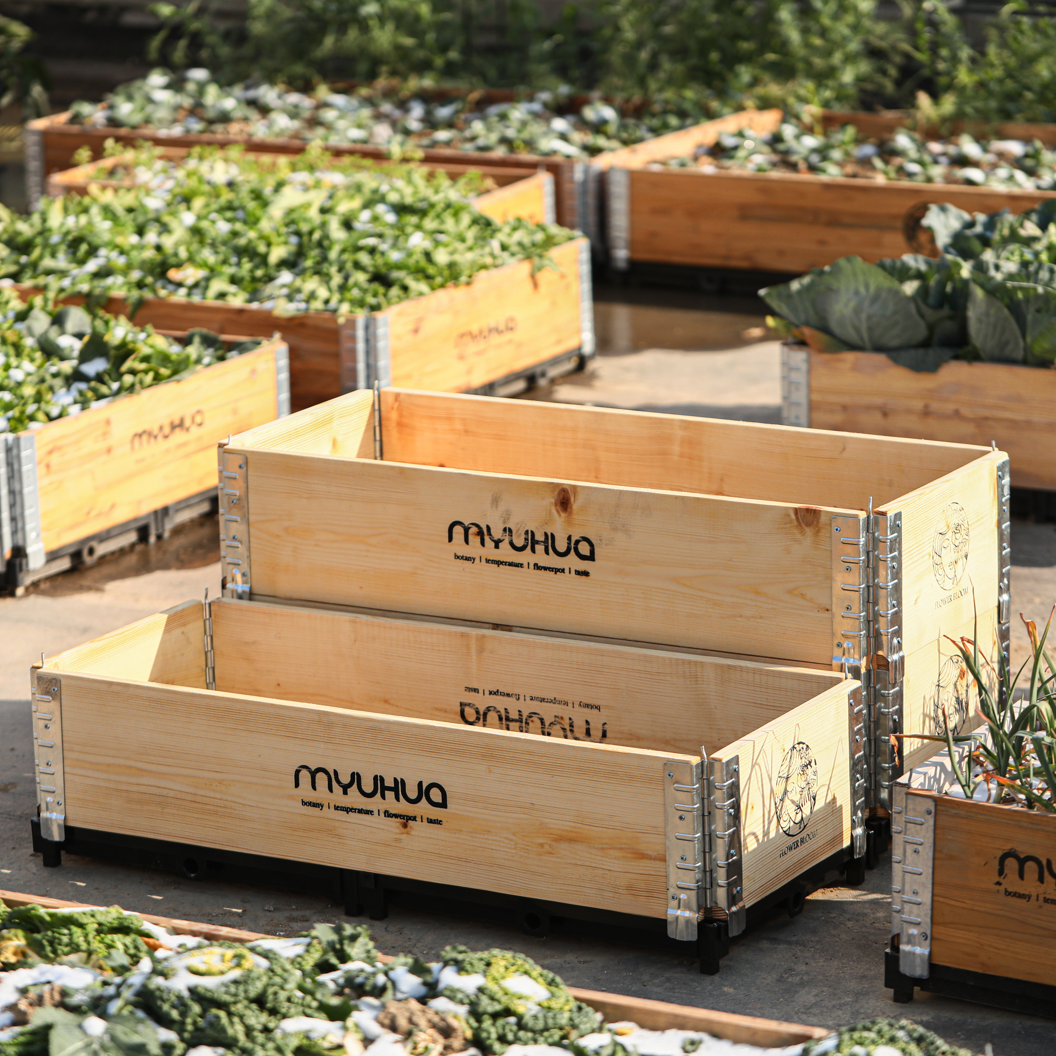 Anticorrosive wood planting box outdoor flower box vegetable box flower pot