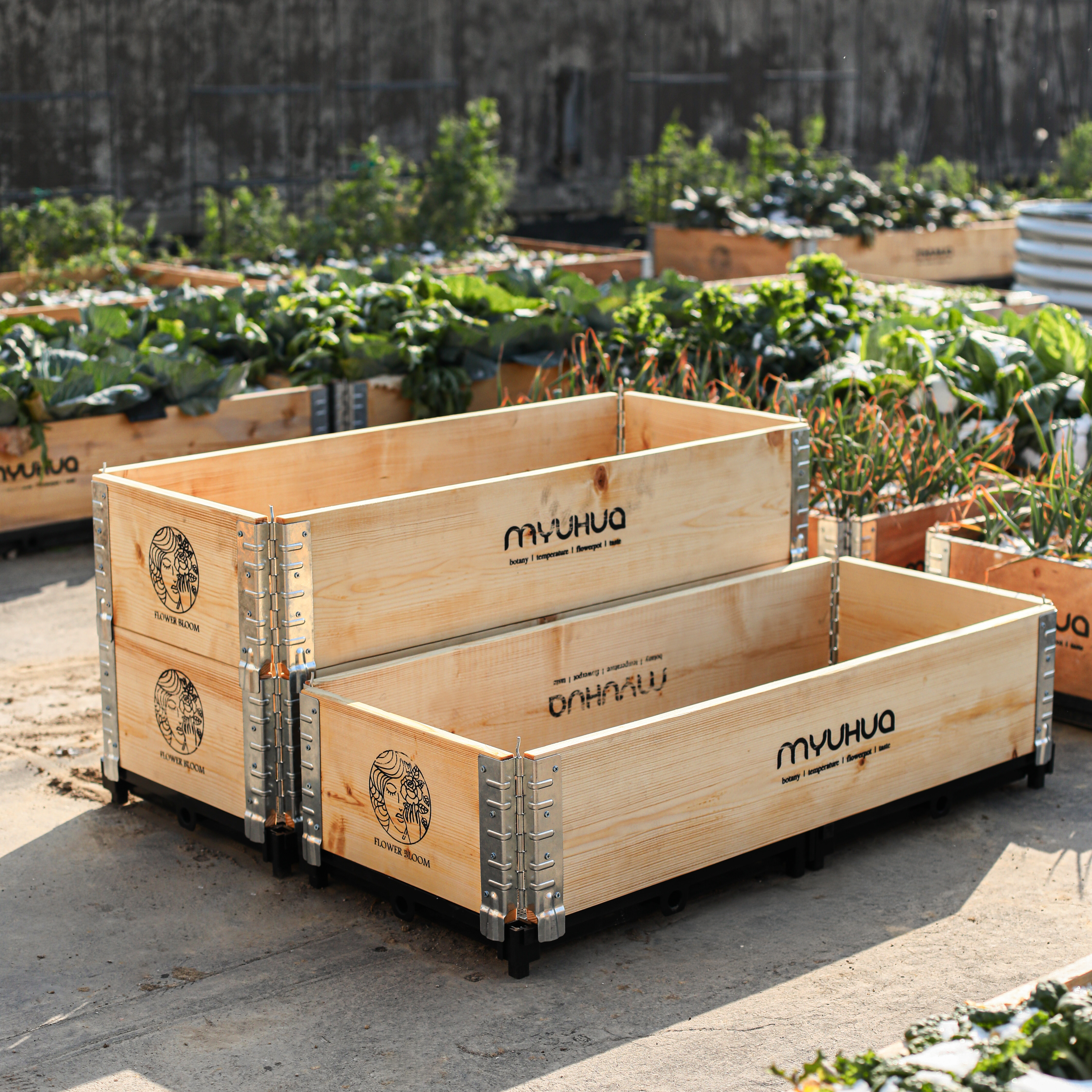 Anticorrosive wood planting box outdoor flower box vegetable box flower pot