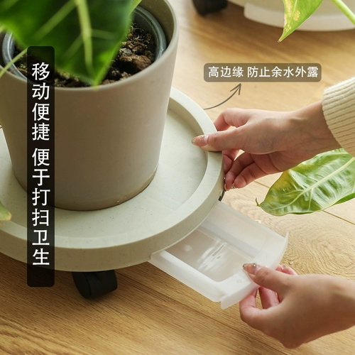 Принесите лоток с тормозным цветочным горшками, чтобы подключиться к подносу с водным подносом, чтобы перемещать пластиковые густого семянного зеленого основания с колесами