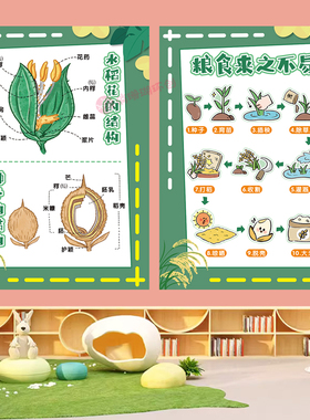 幼儿园自然角种植区植物环创墙贴