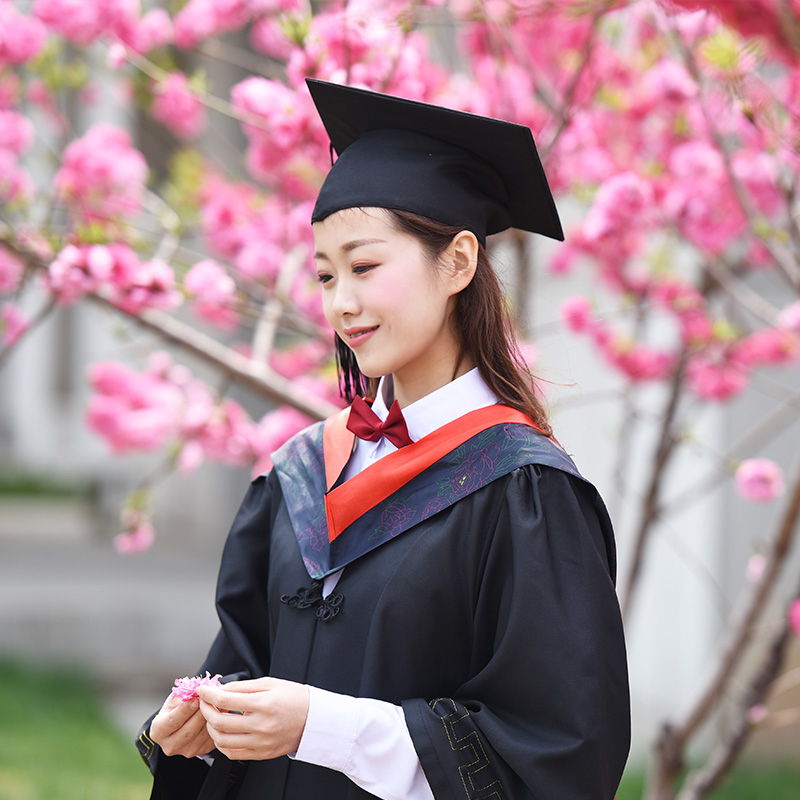 学士服批发定制学位毕业礼服理学工科文科粉色大学生本科硕博士服 - 图1