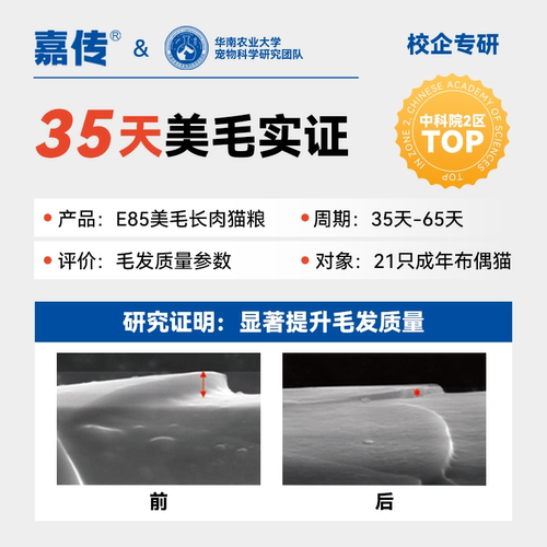 嘉传E85全价无谷幼猫成猫咪健肤美毛三文鱼油布偶高蛋白猫粮 - 图0