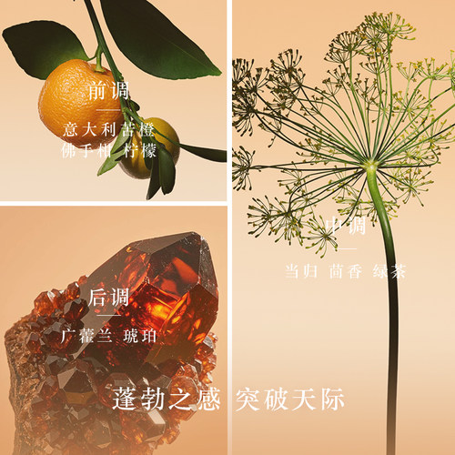 【官方正品】阿玛尼高定私藏香氛流金春橙香水持久香水王嘉尔同款 - 图0