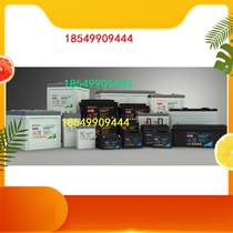 12LPA40 France RUZET Lusheng storage battery 12V40AH imports maintenance-free storage battery