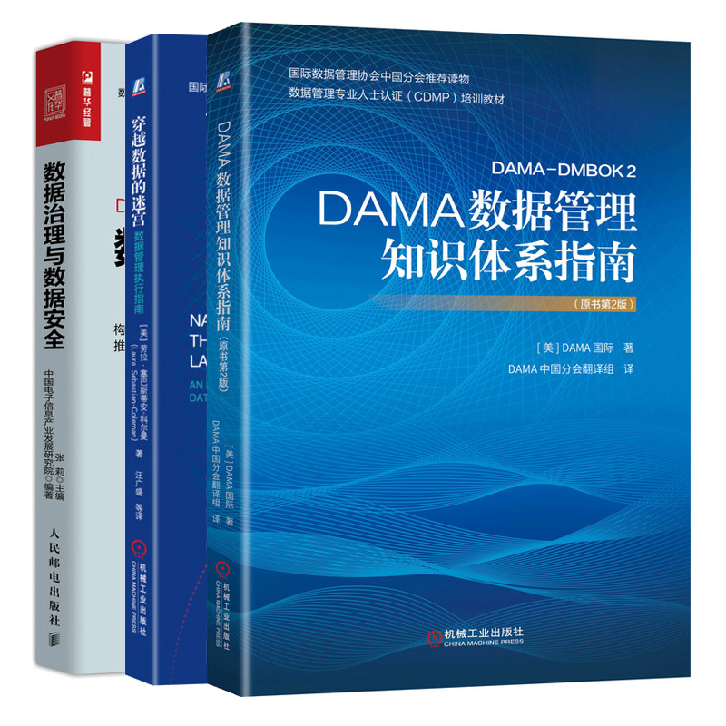 DAMA数据管理知识体系指南 原书第2版+穿越数据的迷宫 数据管理执行指南+数据治理与数据安全 CDMP培训教材 DAMA数据管理书籍 - 图3