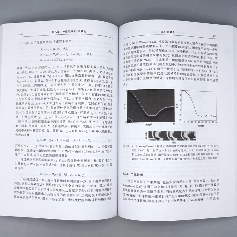 神经科学的数学基础非线性动力学神经模型基本演算初等微分方程神经计算科学核心课程教材神经元建模分析应用教材图书籍-图2