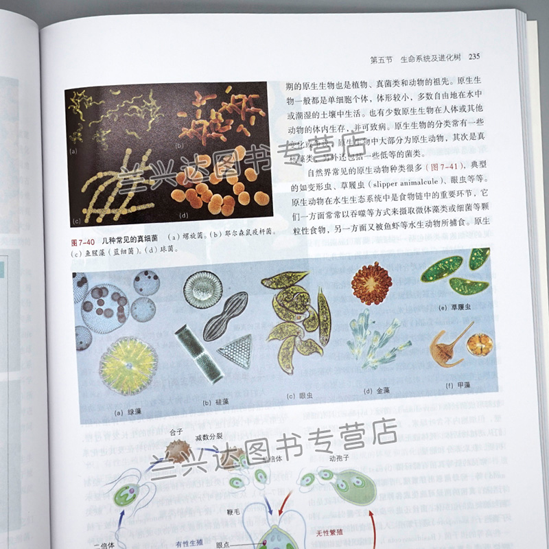 基础生命科学吴庆余李菡 第二版教材+学习指导与习题 高等教育出版社 普通生物化学组成能量与代谢进化导论动物结构书 - 图2