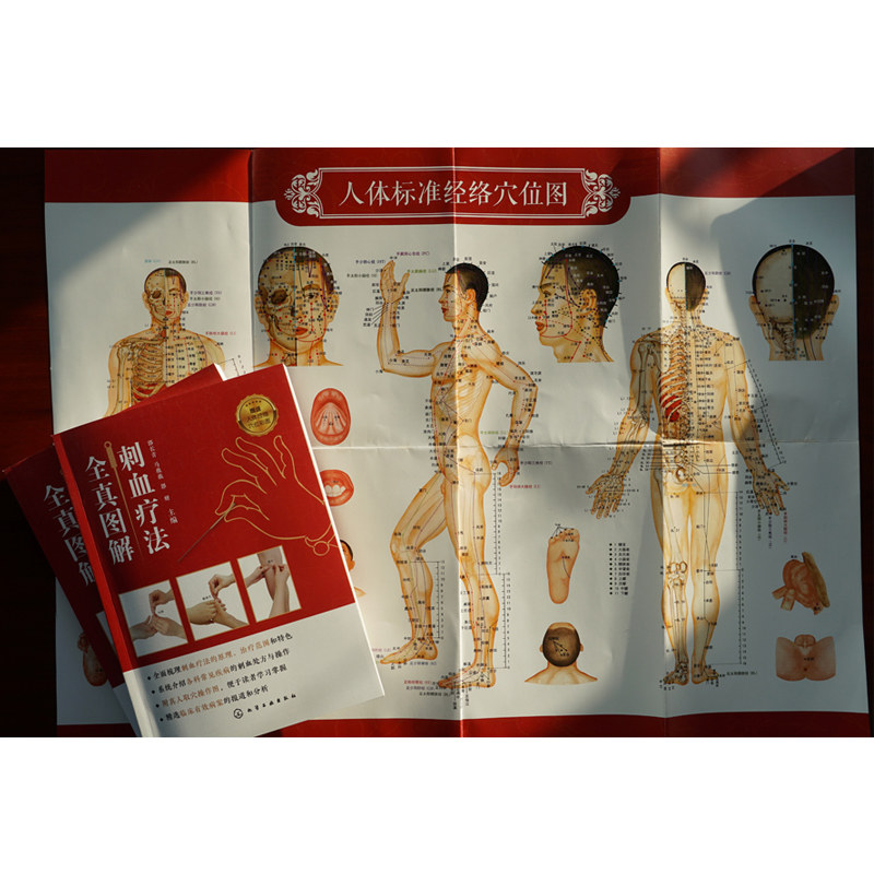 刺血疗法图解刺血疗法的原理中医针灸内科外科妇科儿科皮肤科骨伤科五官科常见病刺血疗法书中医刺血疗法科普读物图书籍_虎窝淘