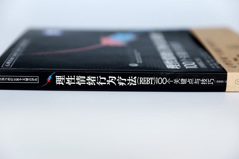 心理咨询与治疗100个关键点译丛理性情绪行为疗法 REBT 100个关键点与技巧心理咨询师心理问题诊断治疗技术心理学专业书籍-图3