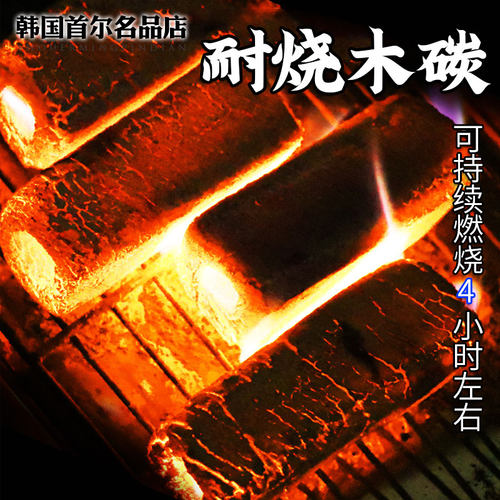 烧烤炭机制炭环保菊花碳耐烧炭户外木炭烤肉碳易燃果木高温碳 - 图0