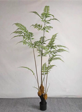 仿真蕨猴头蕨金丝蕨家居客厅商场店铺假植物仿真绿植盆栽装饰摆件