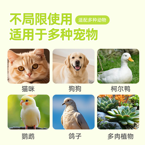 宠物取暖灯加热灯小猫咪狗狗爬宠寄居蟹保暖灯恒温取暖器过冬神器 - 图3