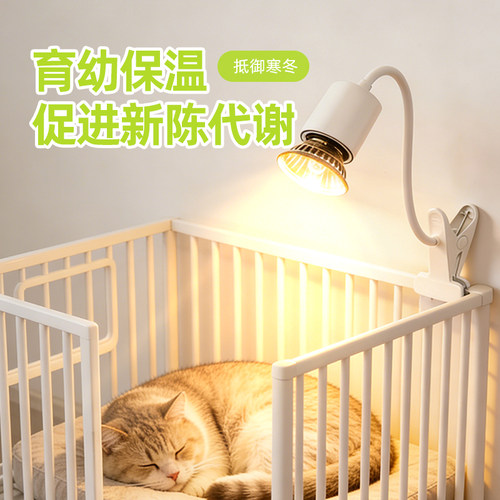 宠物取暖灯加热灯小猫咪狗狗爬宠寄居蟹保暖灯恒温取暖器过冬神器 - 图0