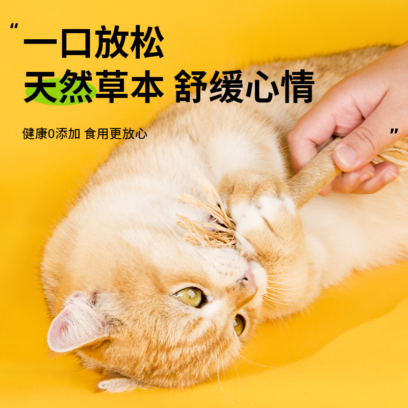 木天蓼磨牙棒猫玩具自嗨解闷耐咬猫薄荷球逗猫棒猫咪用品养猫神器,淘宝优惠券,粉丝福利购,淘宝优惠卷