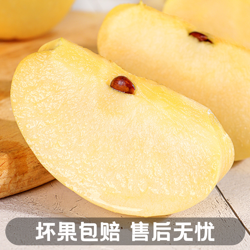 维纳斯黄金苹果5斤山东当季黄奶油 顾一苹果
