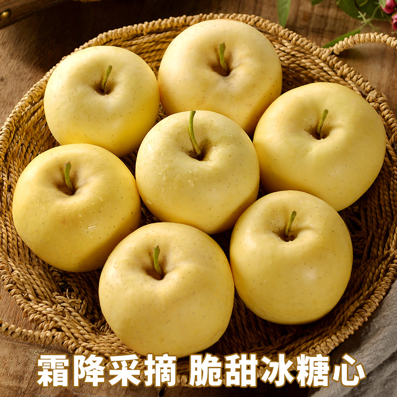 山东烟台黄金奶油富士苹果正宗牛奶 顾一苹果