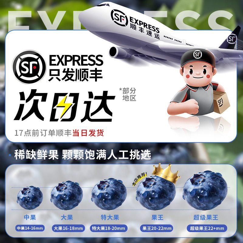 云南蓝莓高山花香新鲜水果当季现摘孕妇甜大盒蓝梅官方旗舰店包邮