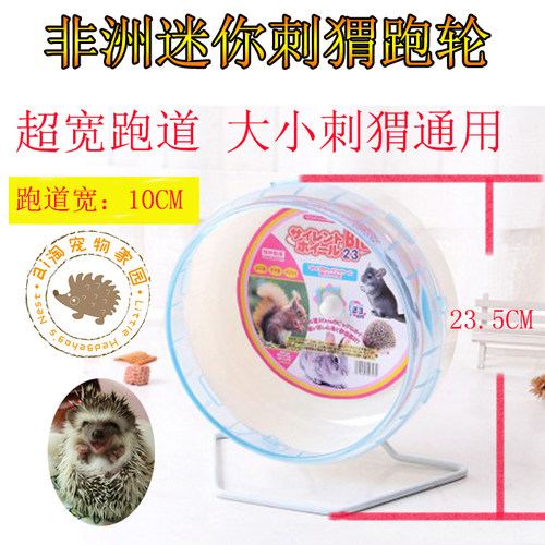 刺猬玩具健身仓鼠玩具熊仔金丝熊跑轮荷兰猪龙猫跑球翘翘板通道 - 图0
