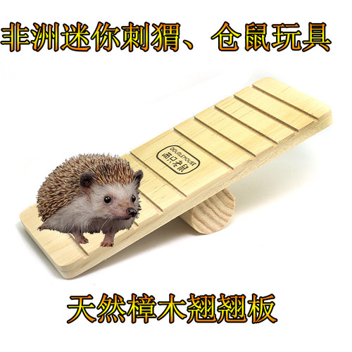 刺猬玩具健身仓鼠玩具熊仔金丝熊跑轮荷兰猪龙猫跑球翘翘板通道 - 图1