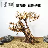 泰国沉木枝 新人首单立减十元 21年8月 淘宝海外