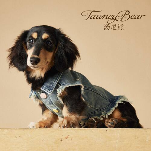 汤尼熊狗狗衣服春夏牛仔马甲马尔济斯雪纳瑞泰迪比熊柴犬博美背心 - 图1