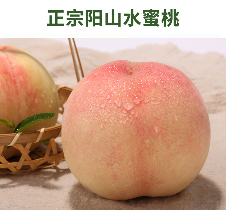 菲农旗舰店正宗无锡阳山水蜜桃7-8两6个超大软桃子新鲜现季水果阳山湖景2