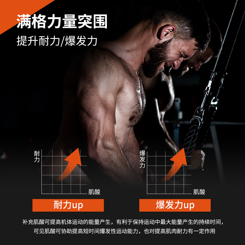 特价清仓】Performix一水肌酸400g爆发力耐力健身肌酸粉缓解疲劳 - 图1