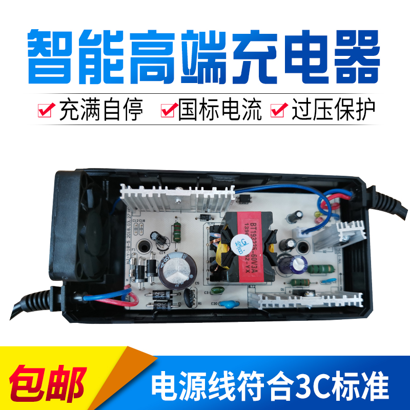 扬能电动铅车酸电池充电器48V12Ah20Ah60V20Ah72V20A适用爱玛新日 - 图1