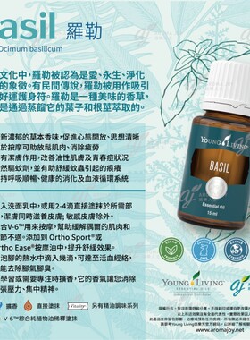 罗勒精油清新草本香精神助消香薰