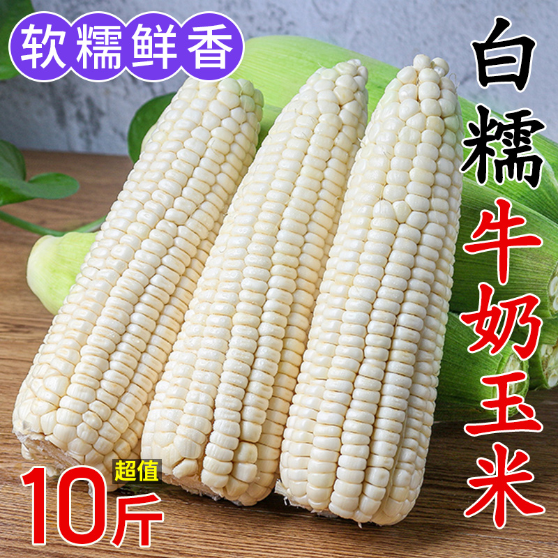新鲜白糯玉米现摘嫩甜玉米9斤当季鲜糯玉米棒子生苞米整箱包邮10