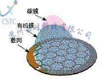 微栅、双联100/200/300/400目铜网普通碳膜透射电镜TEM载网支持膜 - 图0