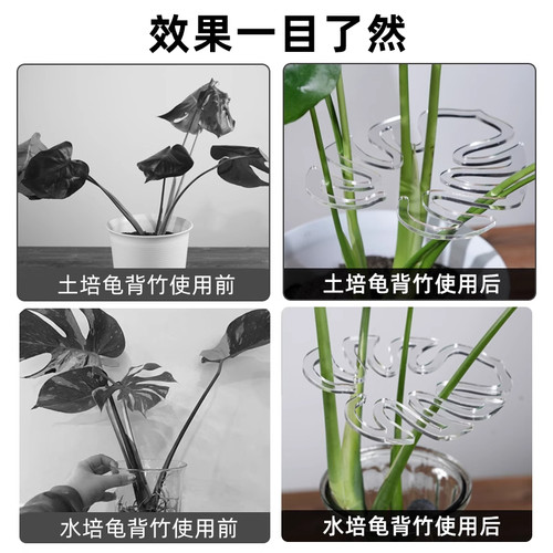 植物枝干支撑杆防倒伏支架固定器收拢架龟背竹水培神器绿植花支架 - 图2
