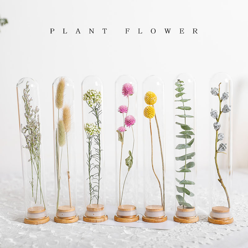玻璃试管干花花束永生花植物标本许愿花瓶装饰摆件送生日新年礼物 - 图1