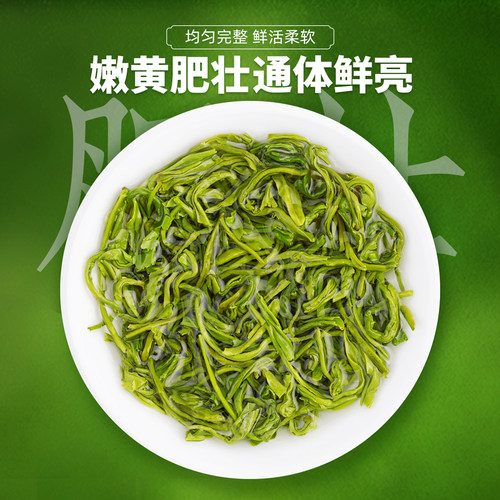 2025新茶汉中宁强毛尖千山茶业高山云雾浓香型散装炒青250g茶叶 - 图2