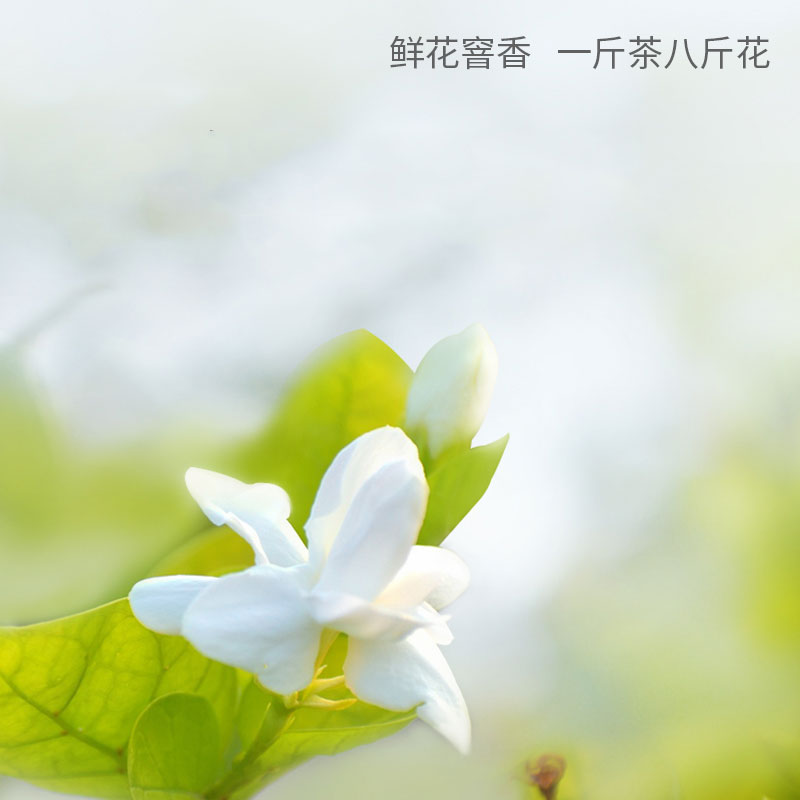 苏州虎丘牌茉莉大方花茶新茶浓香型50g铁罐装 - 图2