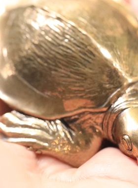 铁拳匠造 秋坞居 联合出品 青铜 猪鼻龟 手把件