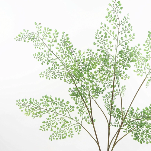 Сюмирование нордического стиля зеленый растение черепаха спинка доля декоративная трава Длинные зимние зеленые листья ugli листовые цветы с растениями травы