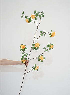 仿真花枯藤杏花藤蔓花艺装饰假花