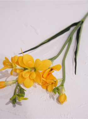 小苍兰餐桌装饰画玉簪花单枝花艺
