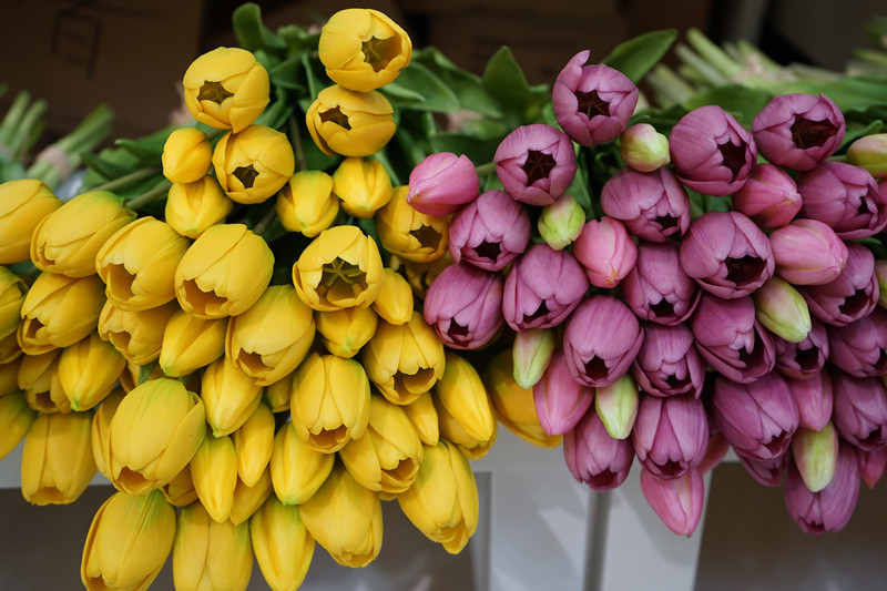 郁金香花束高质仿真花把束插花北欧客厅室内餐桌装饰花艺婚庆假花,淘宝优惠券,粉丝福利购,淘宝优惠卷