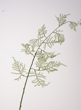 新中式仿真绿植软胶小枝文竹枝条室内装饰摆件现代简约家居假花